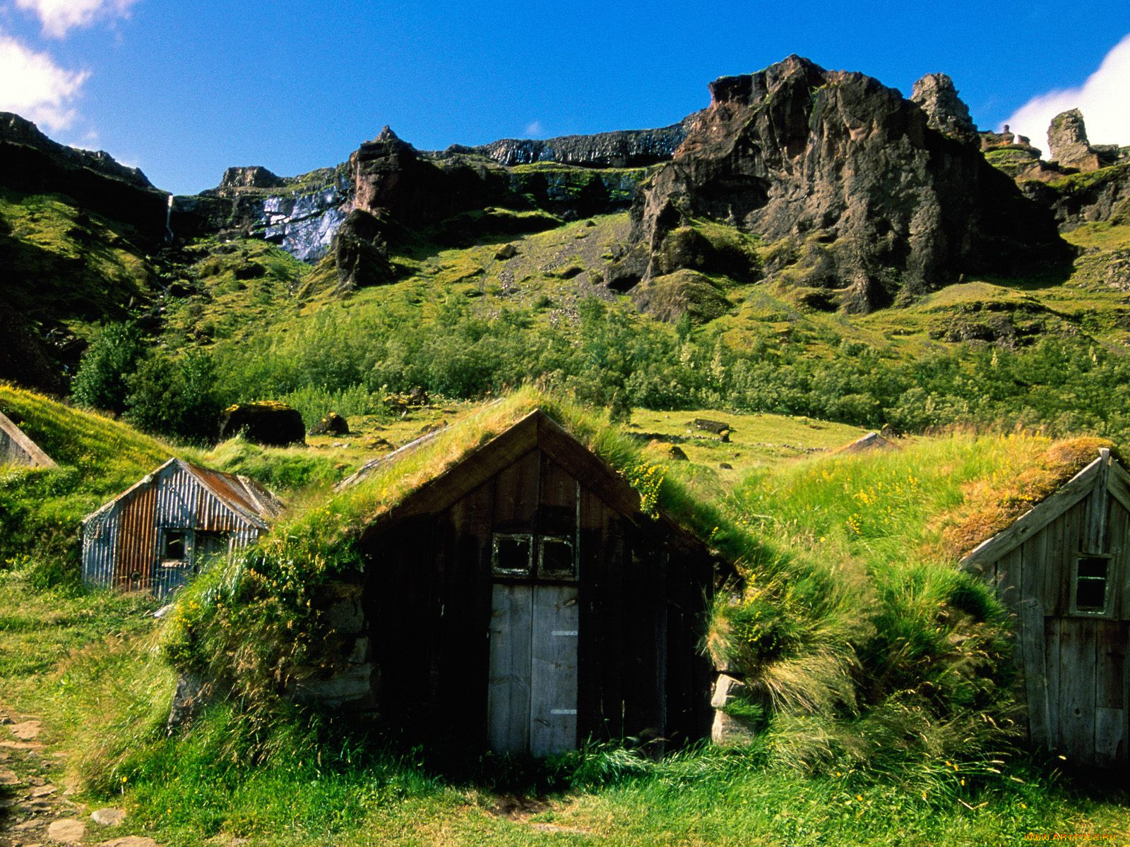 green, rooftops, iceland, 